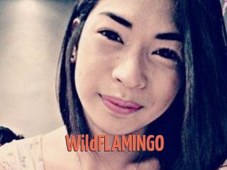 WildFLAMINGO