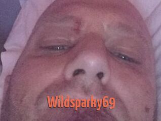 Wildsparky69