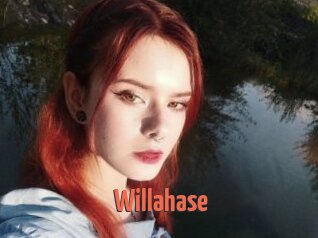 Willahase