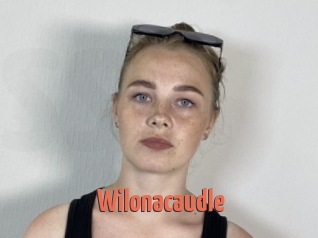 Wilonacaudle