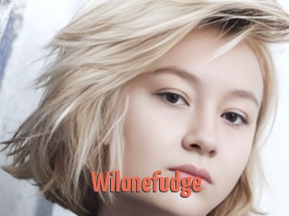 Wilonefudge