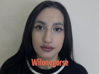 Wilonegorse