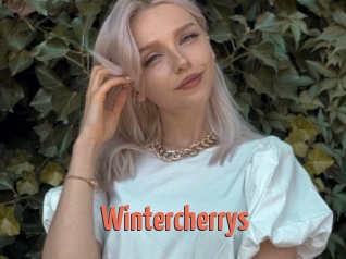 Wintercherrys
