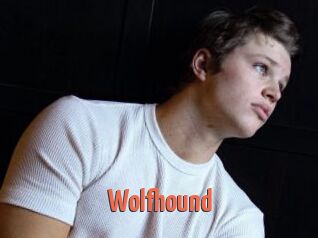 Wolfhound