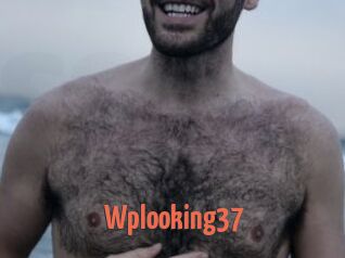 Wplooking37