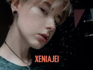 XENIA_JEI
