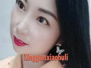 Xingganxiaohuli