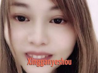 Xingganyeshou