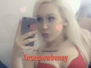 Xoxosnowbunny