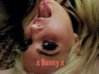 _x_Bunny_x_