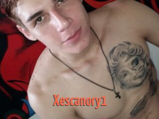 Xescanory1