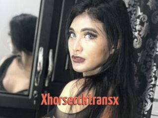 Xhorseccktransx