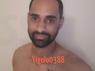 Yigolo0388