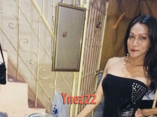 Ynez22