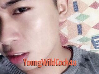 YoungWildCock4u