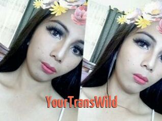 YourTransWild