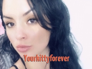 Yourkittyforever