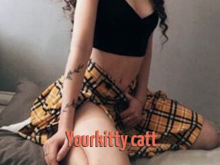 Yourkitty_catt