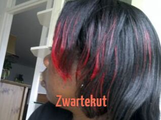 Zwartekut