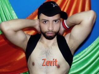 Zevit